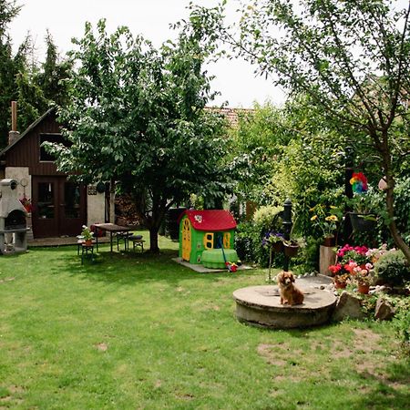 Podkrovni Apartman S Vyhledem Na Namesti Lomnice nad Lužnicí Eksteriør bilde
